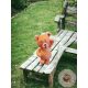 Teddy maci integet