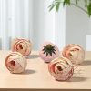 3 cm-es Boglárka fej – Cirmos rózsaszín-sárga