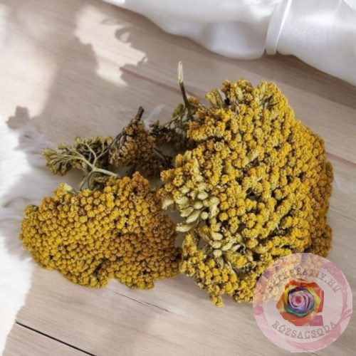 Szárított Achillea (Cickafark) citrom