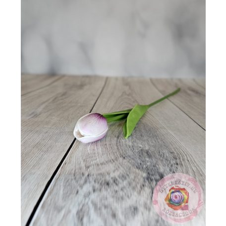 Tulipán gumi cirmos lila
