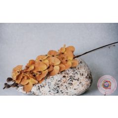Antik színű orchidea ág - Narancs