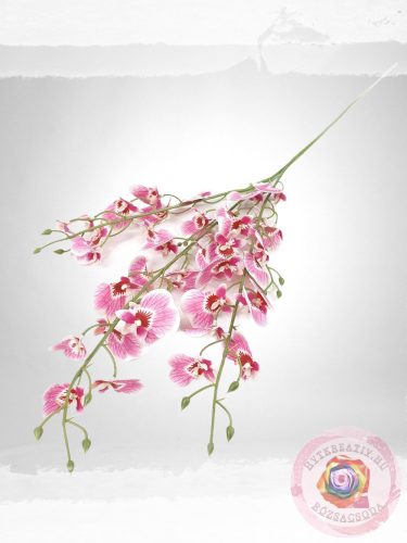 KICSI VIRÁGÚ ORCHIDEA ÁG - CIRMOS PINK