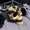 Kézműves kígyós koponya – Cameleon