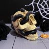 Kézműves kígyós koponya – Cameleon