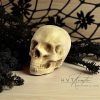 Kis kézműves koponya – Halloween dekoráció