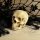 Kis kézműves koponya – Halloween dekoráció