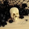 Kis kézműves koponya – Halloween dekoráció
