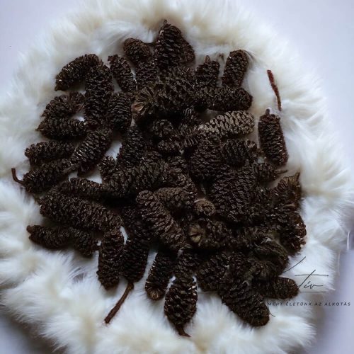 Birch Pine fekete termés – 30 g