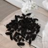 Birch Pine fekete termés – 30 g