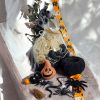 Nagy Halloween Alkotócsomag