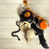 Halloween kis alkotócsomag – Limitált, kézműves összeállítás