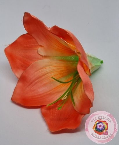 AMARYLLIS FEJ 12CM barack