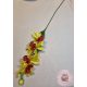 ORCHIDEA sárga- bordó 76CM