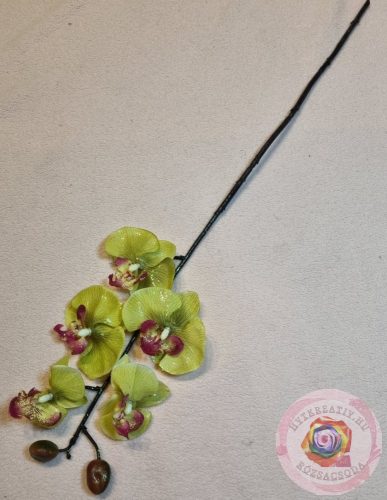 CSILLOGÓ ORCHIDEA zöld 58CM