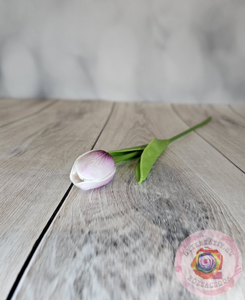 Tulipán gumi cirmos lila